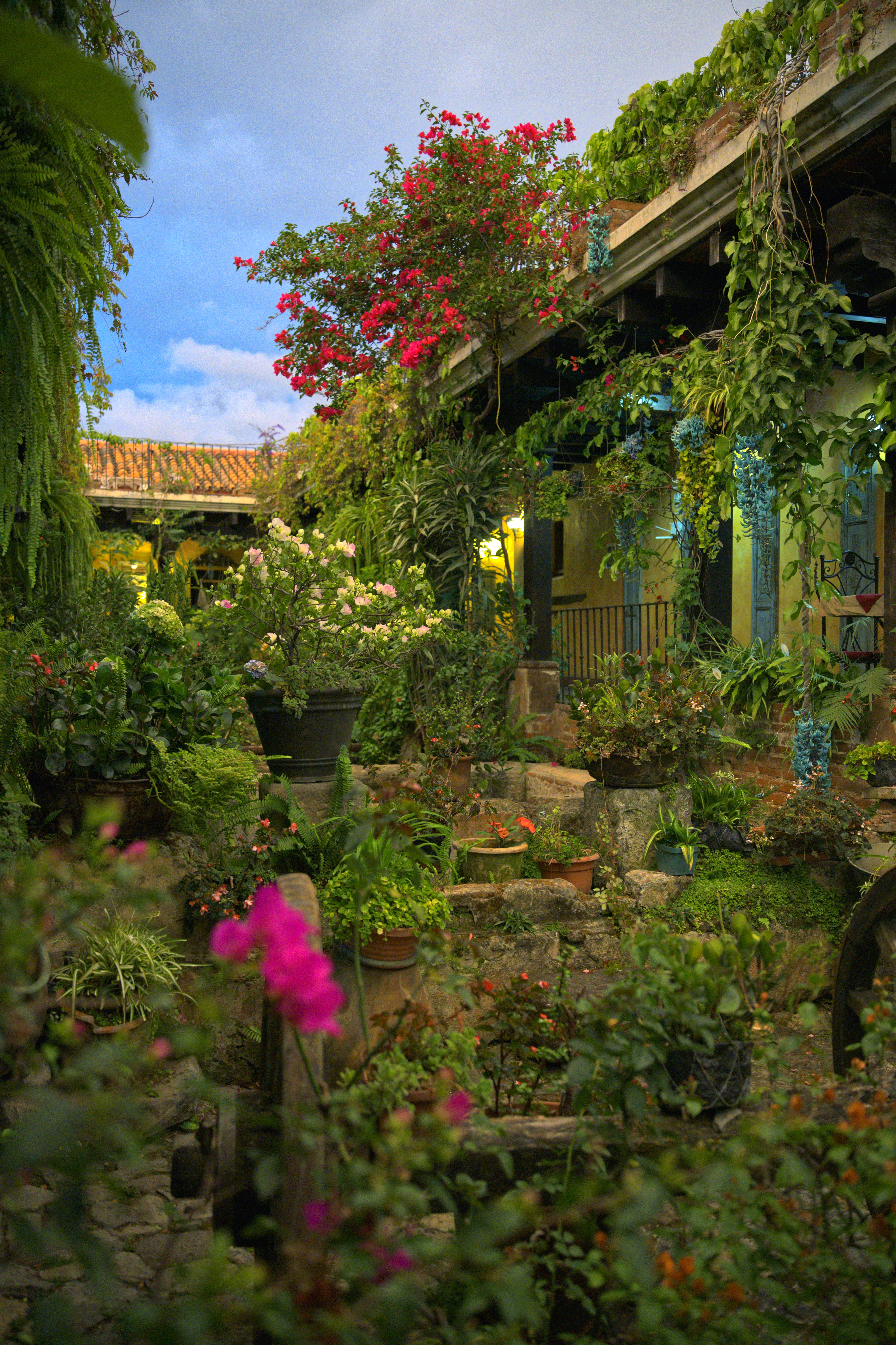 Garden II