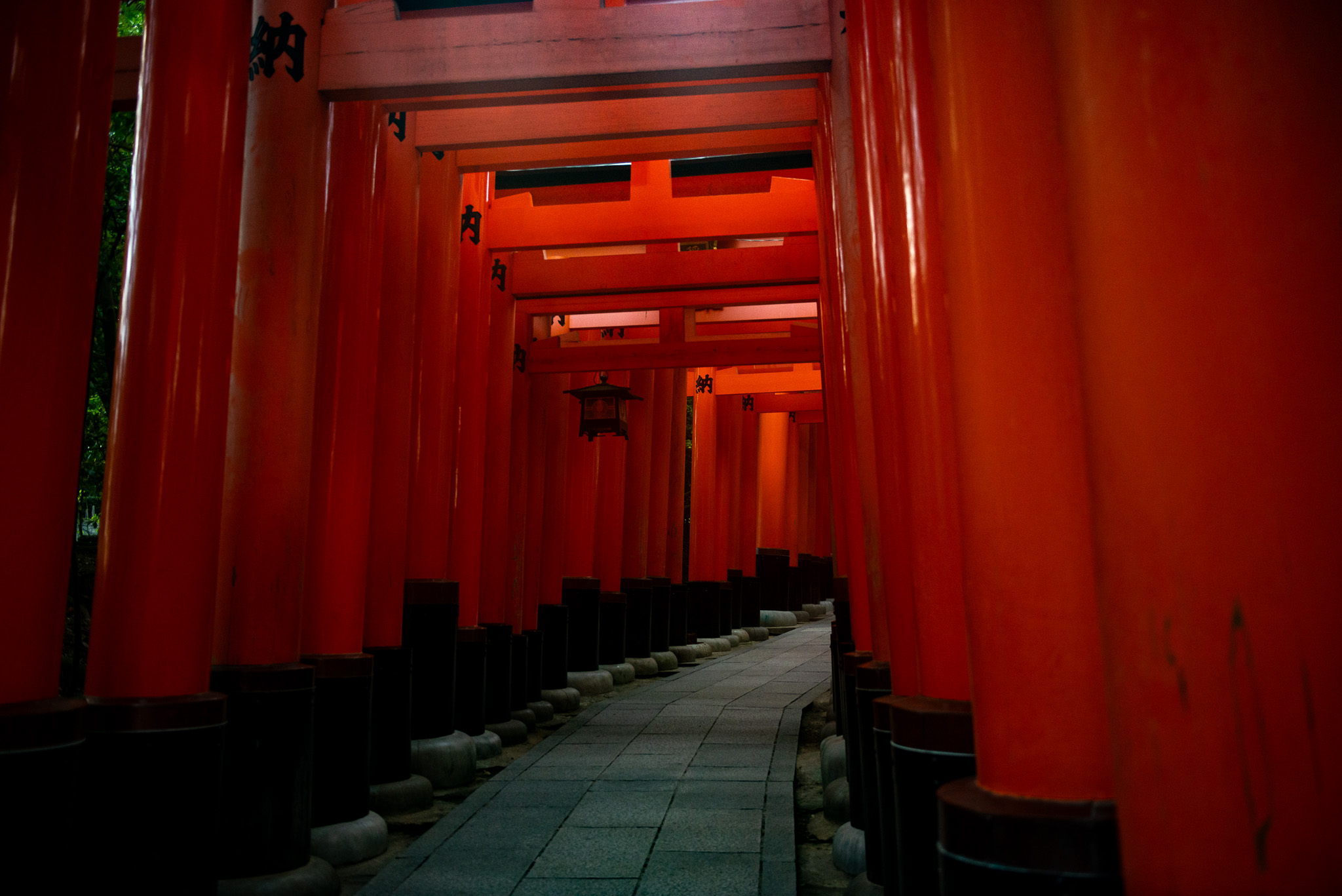 Fushimi Inari