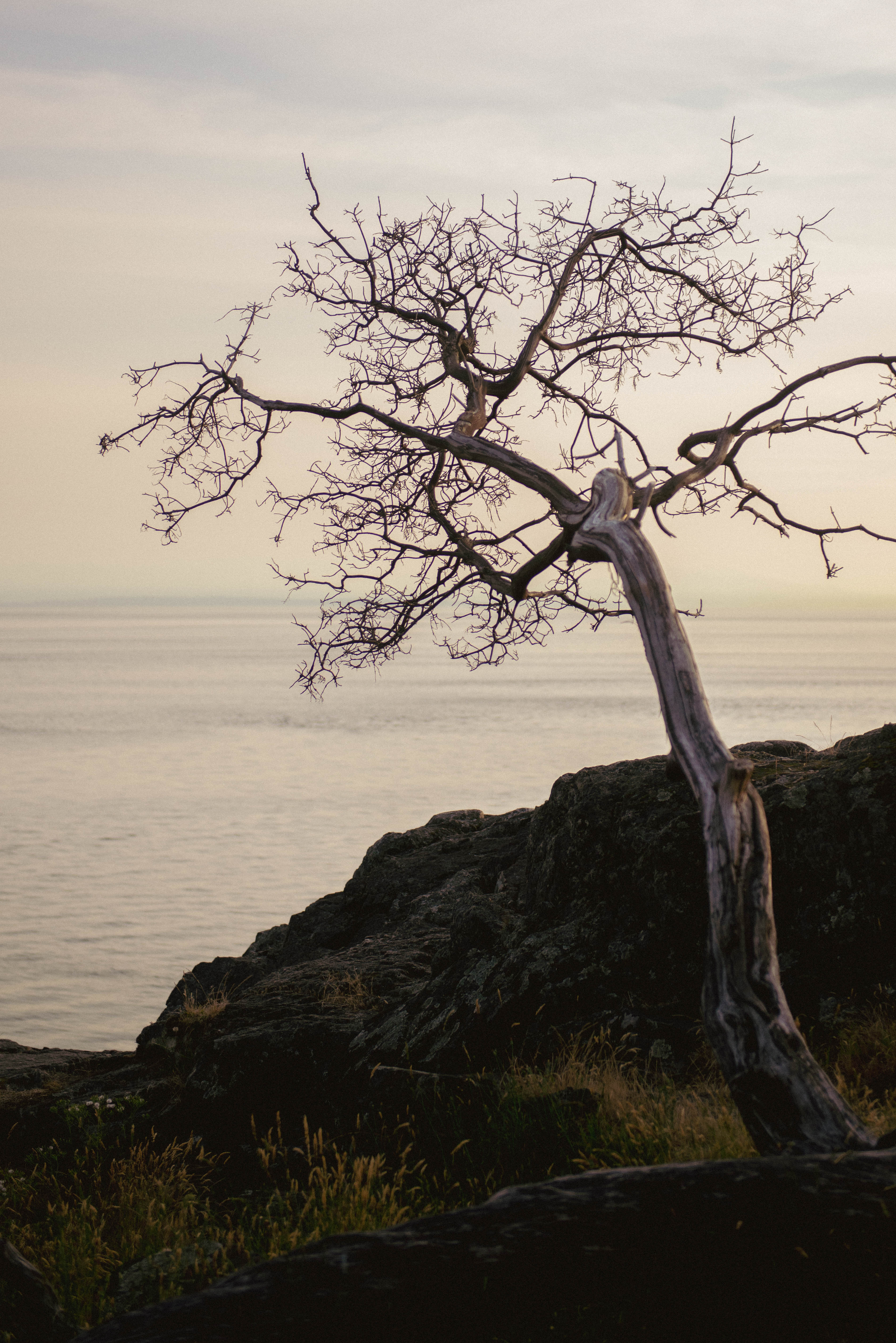 Coastline