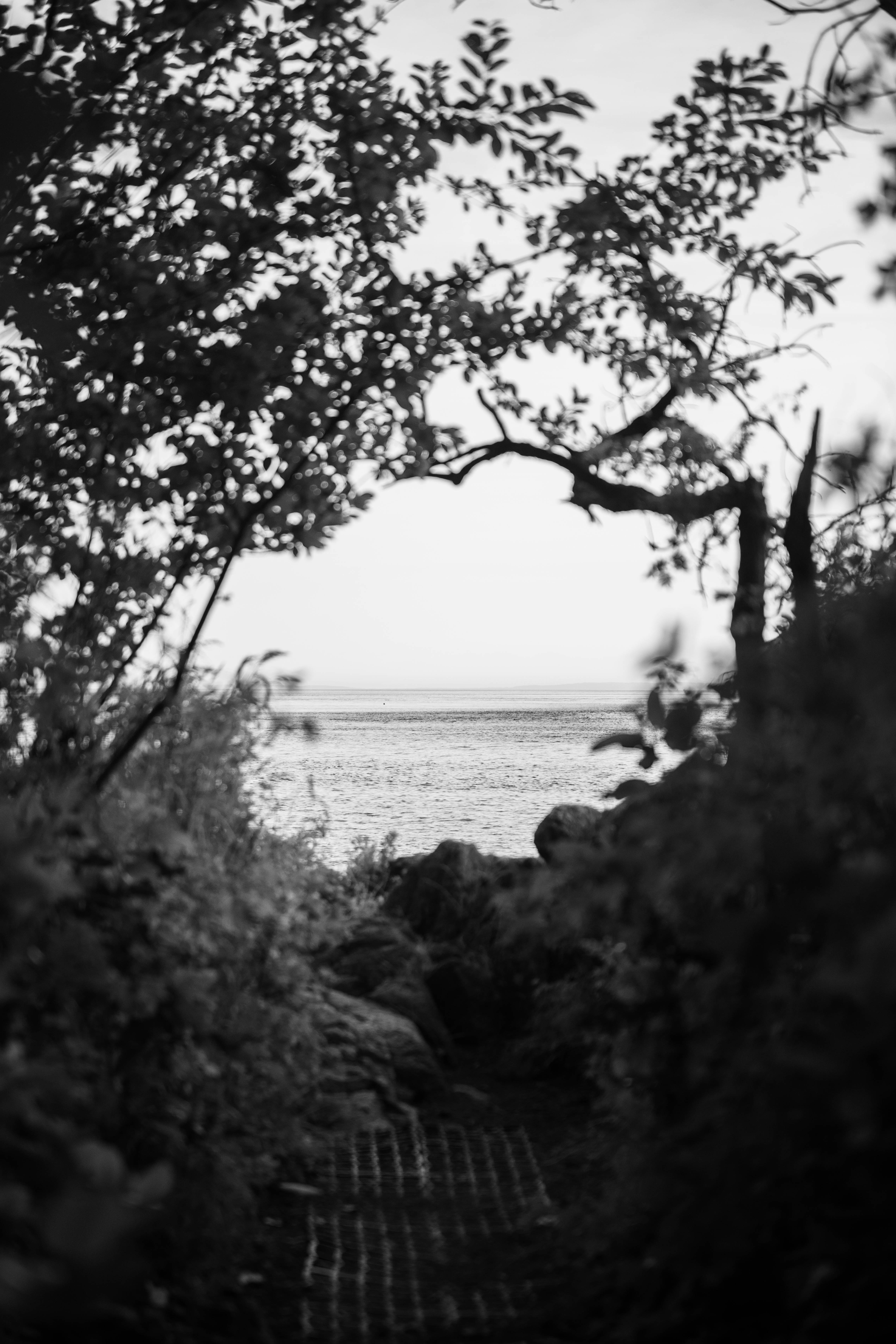 Coastal Path